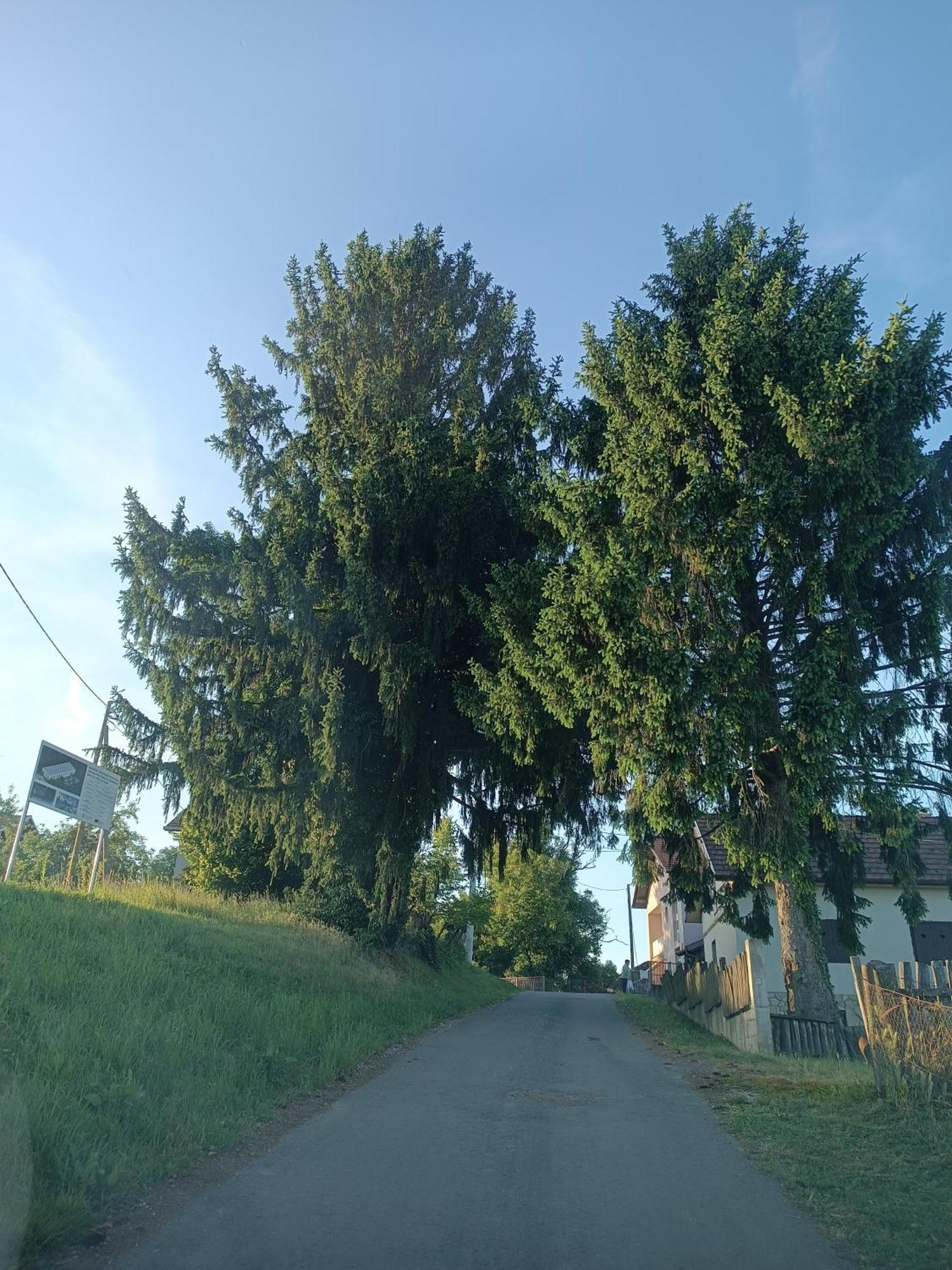 Apartman Petra Zabok Buitenkant foto